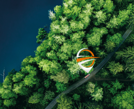 A lorry driving through a forest.